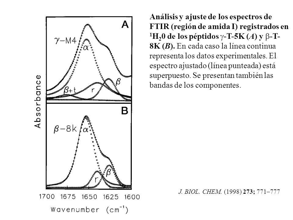 Análisis y ajuste de los espectros de FTIR (región de amida I) registrados en 1H20 de los péptidos g-T-5K (A) y b-T-8K (B). En cada caso la línea continua representa los datos experimentales. El espectro ajustado (línea punteada) está superpuesto. Se presentan también las bandas de los componentes.