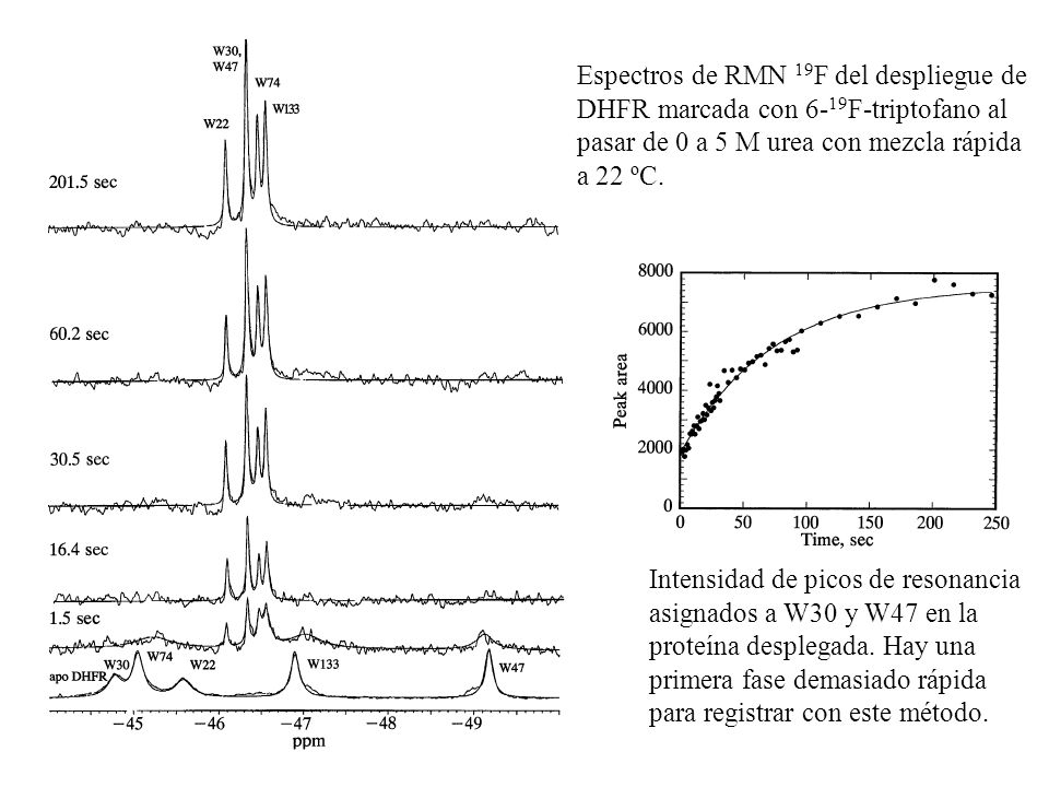 Espectros de RMN 19F del despliegue de DHFR marcada con 6-19F-triptofano al pasar de 0 a 5 M urea con mezcla rápida a 22 ºC.