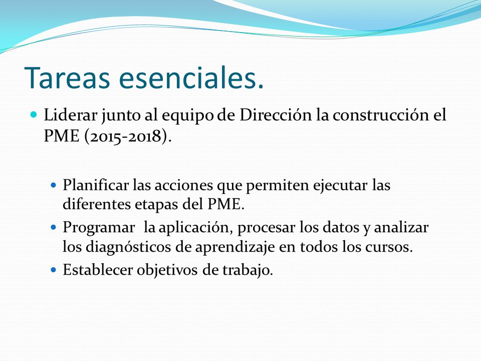 Tareas esenciales. Liderar junto al equipo de Dirección la construcción el PME ( ).