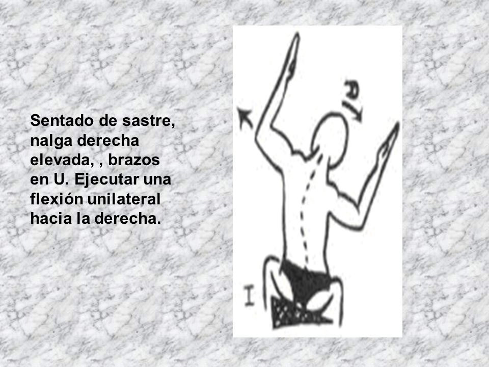 Sentado de sastre, nalga derecha elevada, , brazos en U