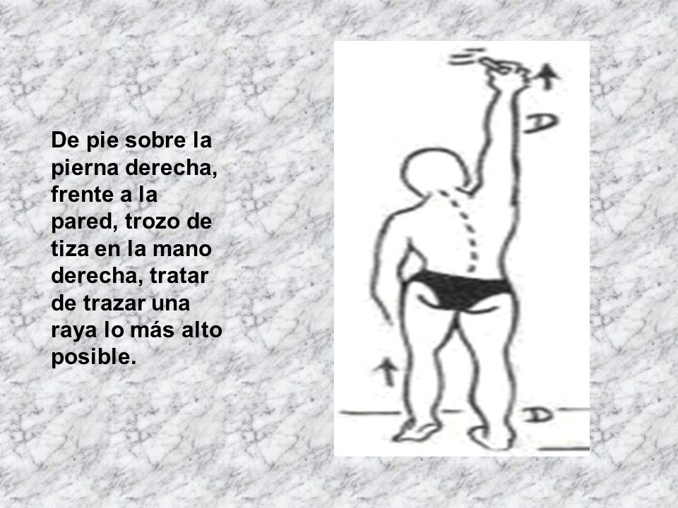 De pie sobre la pierna derecha, frente a la pared, trozo de tiza en la mano derecha, tratar de trazar una raya lo más alto posible.