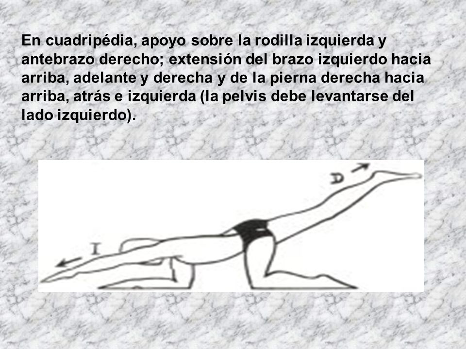 En cuadripédia, apoyo sobre la rodilla izquierda y antebrazo derecho; extensión del brazo izquierdo hacia arriba, adelante y derecha y de la pierna derecha hacia arriba, atrás e izquierda (la pelvis debe levantarse del lado izquierdo).