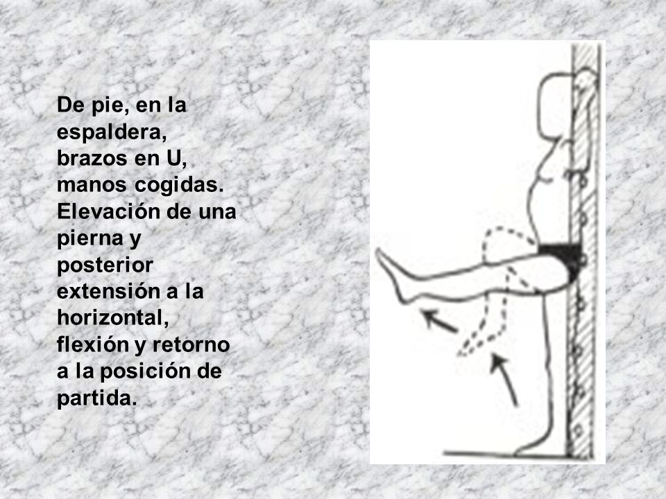 De pie, en la espaldera, brazos en U, manos cogidas