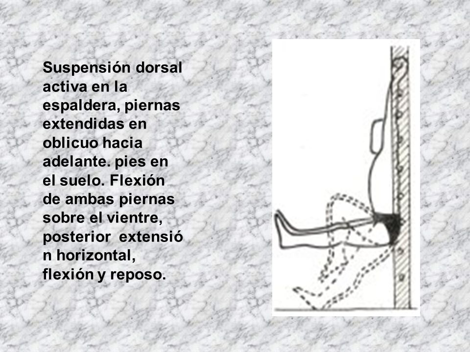 Suspensión dorsal activa en la espaldera, piernas extendidas en oblicuo hacia adelante.