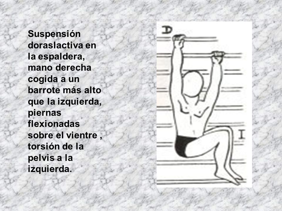 Suspensión doraslactiva en la espaldera, mano derecha cogida a un barrote más alto que la izquierda, piernas flexionadas sobre el vientre , torsión de la pelvis a la izquierda.