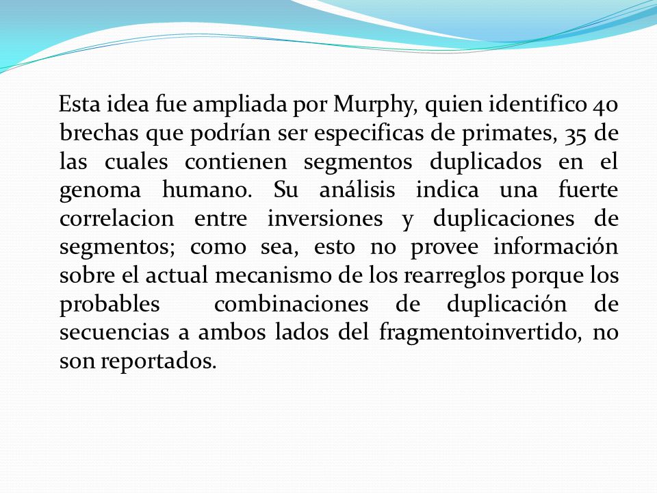 Esta idea fue ampliada por Murphy, quien identifico 40 brechas que podrían ser especificas de primates, 35 de las cuales contienen segmentos duplicados en el genoma humano.