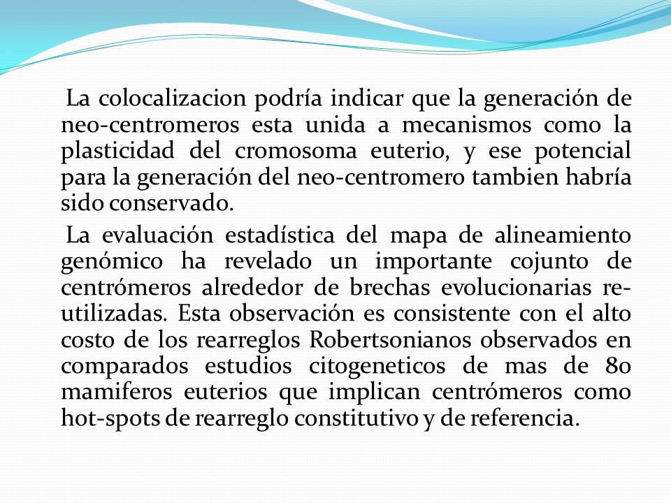 La colocalizacion podría indicar que la generación de neo-centromeros esta unida a mecanismos como la plasticidad del cromosoma euterio, y ese potencial para la generación del neo-centromero tambien habría sido conservado.