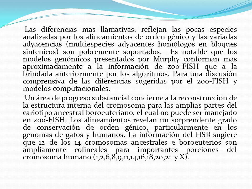 Las diferencias mas llamativas, reflejan las pocas especies analizadas por los alineamientos de orden génico y las variadas adyacencias (multiespecies adyacentes homólogos en bloques sintenicos) son pobremente soportados. Es notable que los modelos genómicos presentados por Murphy conforman mas aproximadamente a la información de zoo-FISH que a la brindada anteriormente por los algoritmos. Para una discusión comprensiva de las diferencias sugeridas por el zoo-FISH y modelos computacionales.