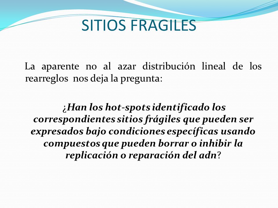 SITIOS FRAGILES La aparente no al azar distribución lineal de los rearreglos nos deja la pregunta:
