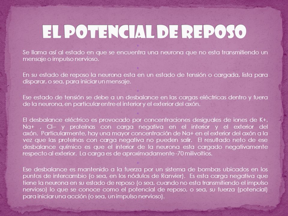 El potencial de reposo Se llama así al estado en que se encuentra una neurona que no esta transmitiendo un mensaje o impulso nervioso.