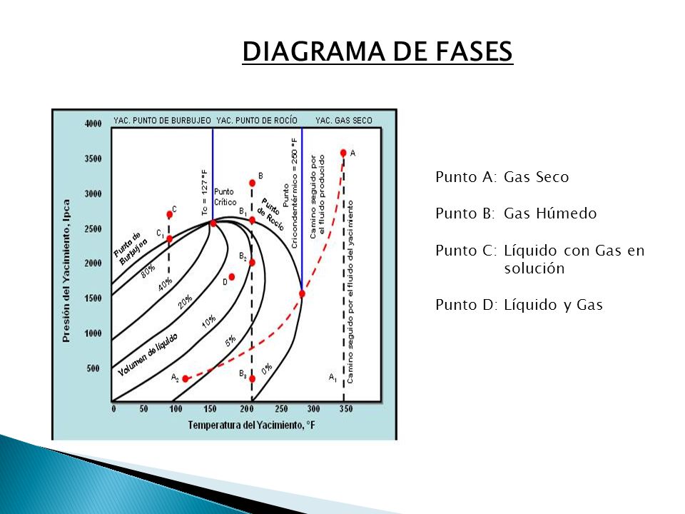 DIAGRAMA DE FASES Punto A: Gas Seco Punto B: Gas Húmedo