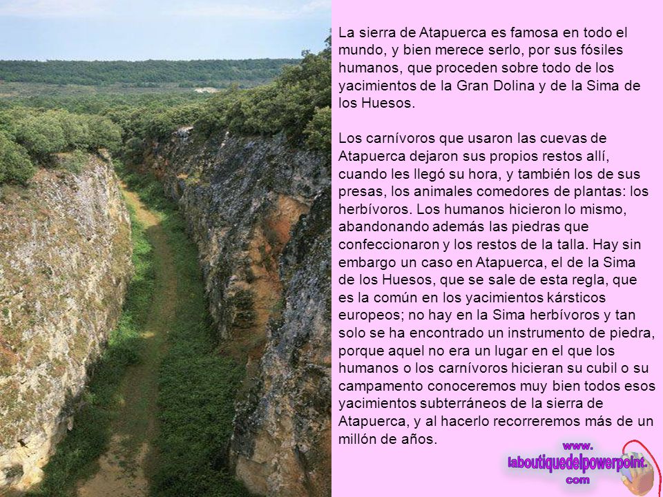 La sierra de Atapuerca es famosa en todo el mundo, y bien merece serlo, por sus fósiles humanos, que proceden sobre todo de los yacimientos de la Gran Dolina y de la Sima de los Huesos.