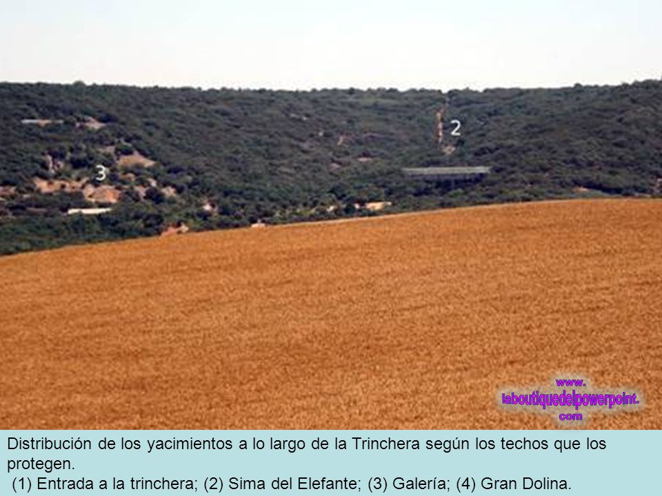 Distribución de los yacimientos a lo largo de la Trinchera según los techos que los protegen.