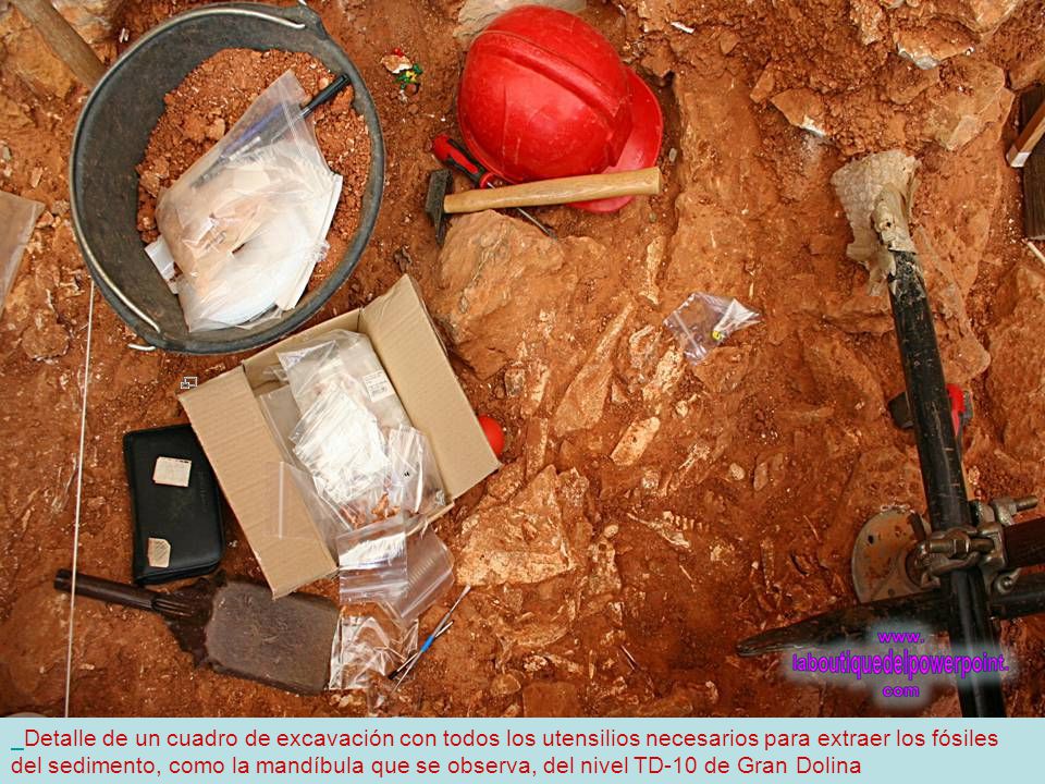 Detalle de un cuadro de excavación con todos los utensilios necesarios para extraer los fósiles del sedimento, como la mandíbula que se observa, del nivel TD-10 de Gran Dolina