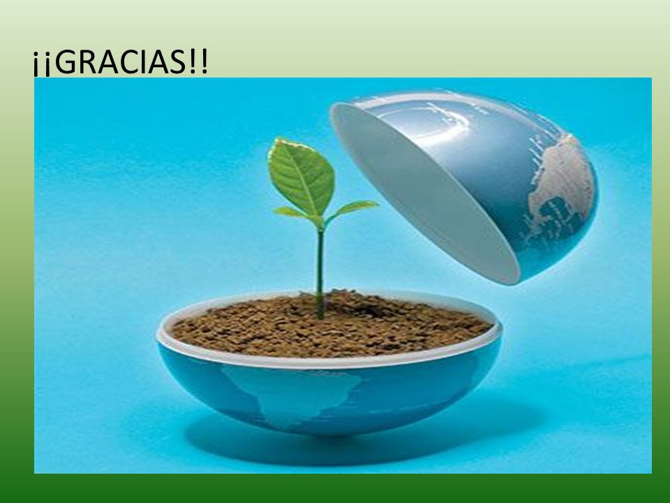 ¡¡GRACIAS!!