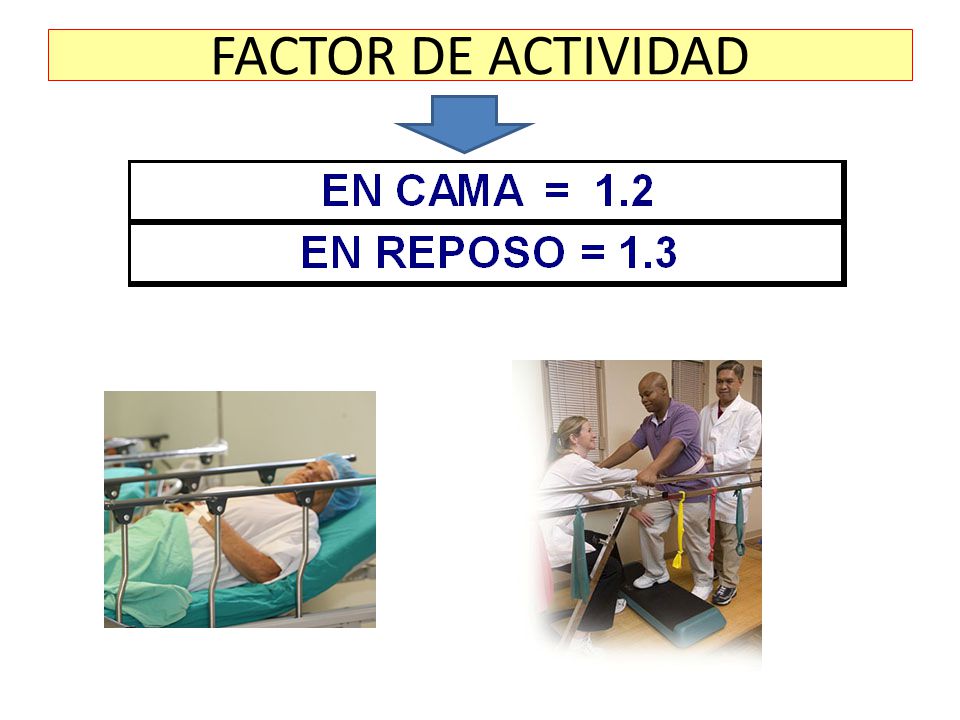 FACTOR DE ACTIVIDAD