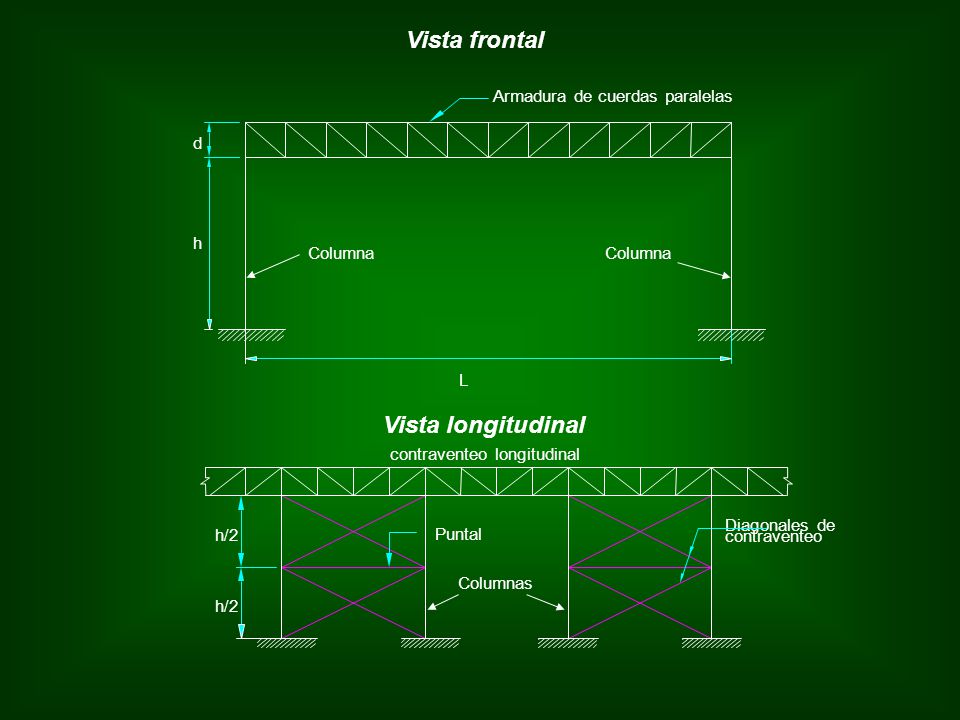 Vista frontal Vista longitudinal Armadura de cuerdas paralelas d h