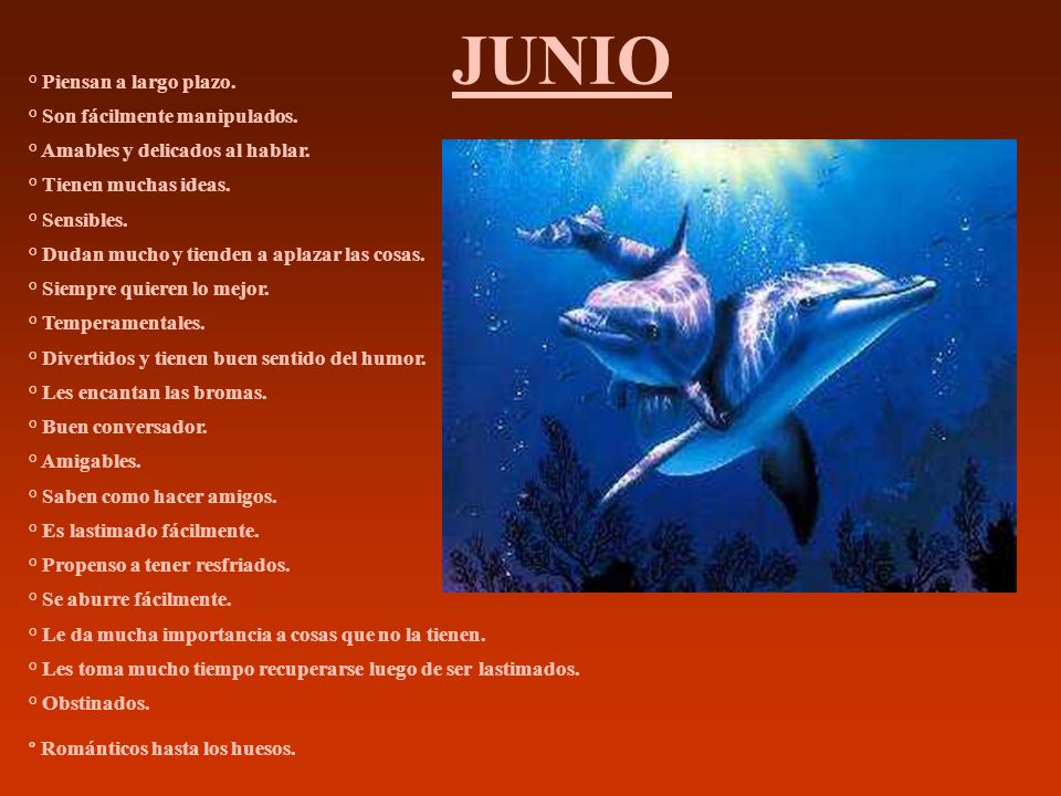 JUNIO ° Piensan a largo plazo. ° Son fácilmente manipulados.