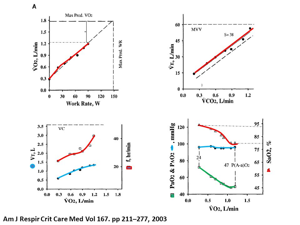 Am J Respir Crit Care Med Vol 167. pp 211–277, 2003