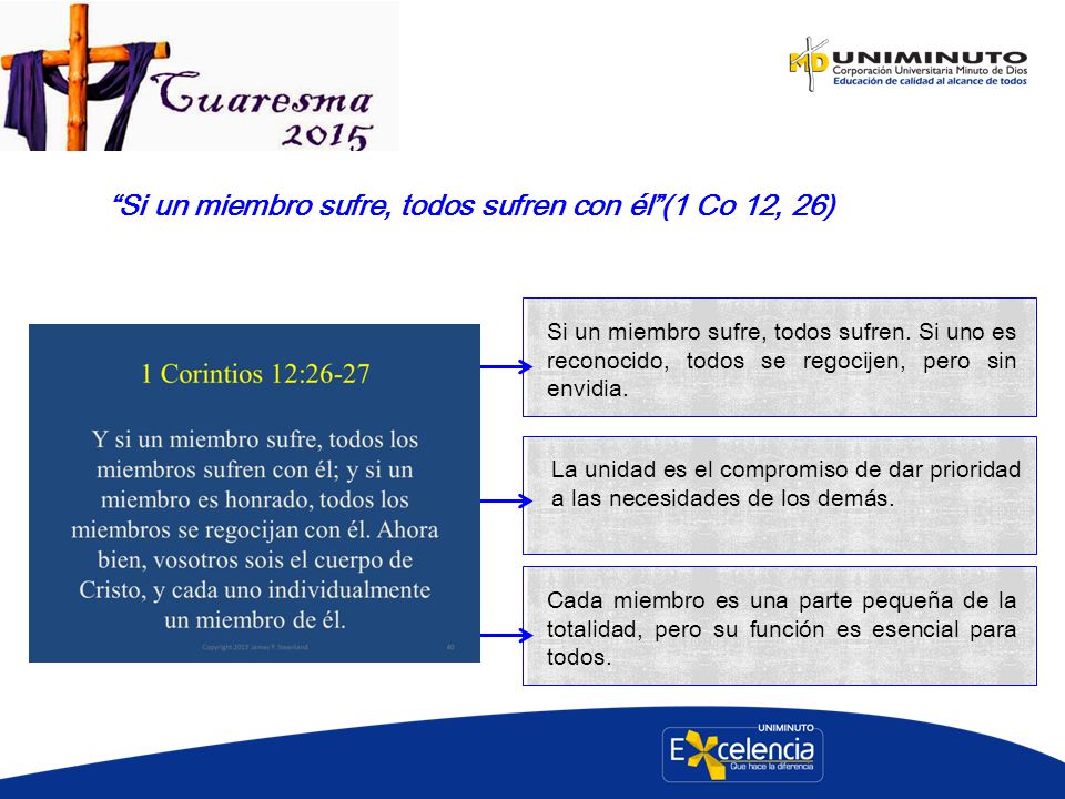 Si un miembro sufre, todos sufren con él (1 Co 12, 26)