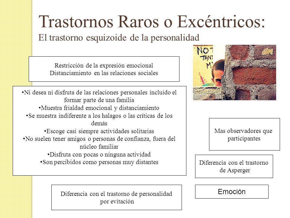 Trastornos Raros o Excéntricos: El trastorno esquizoide de la personalidad