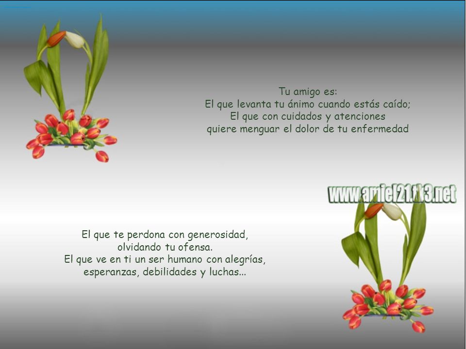 …………………… Tu amigo es: El que levanta tu ánimo cuando estás caído; El que con cuidados y atenciones quiere menguar el dolor de tu enfermedad.