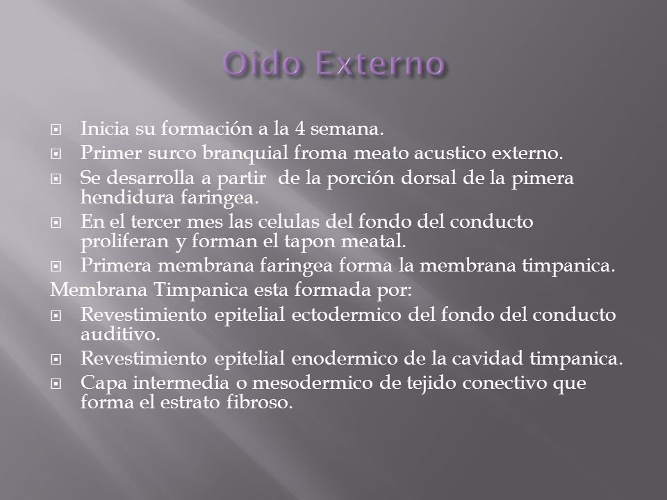 Oido Externo Inicia su formación a la 4 semana.