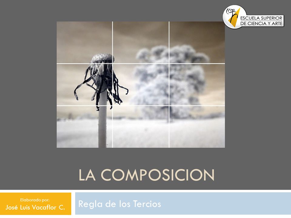 LA COMPOSICION Regla de los Tercios José Luis Vacaflor C.