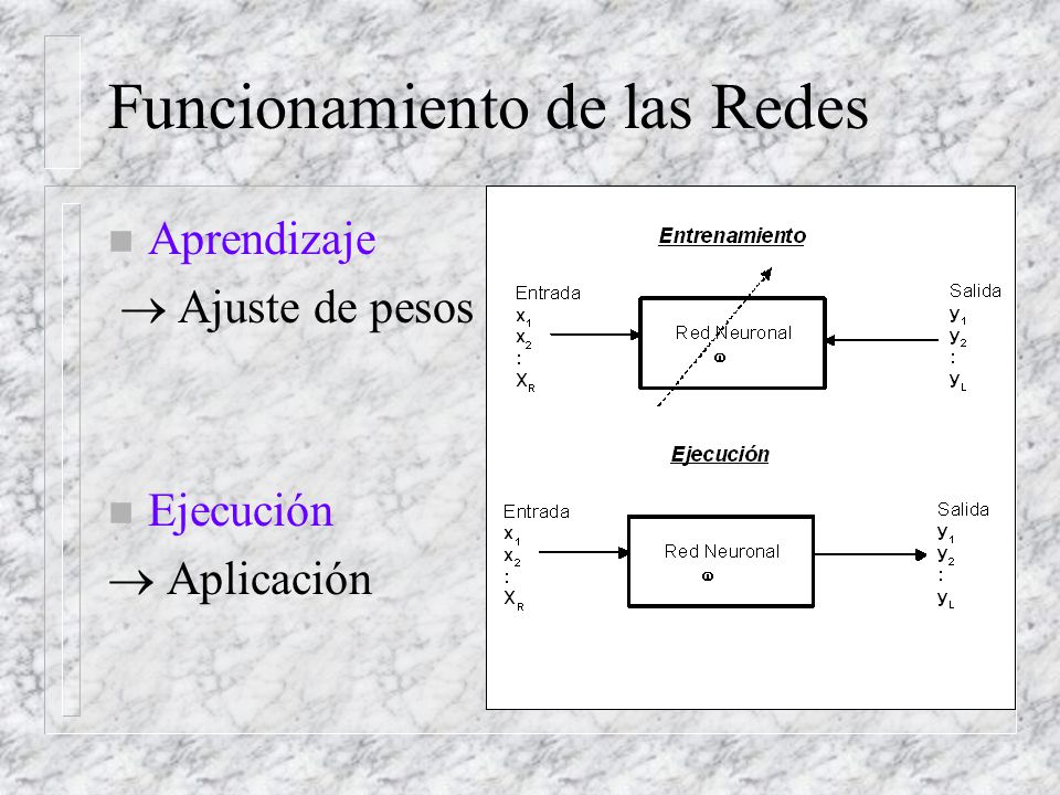 Funcionamiento de las Redes