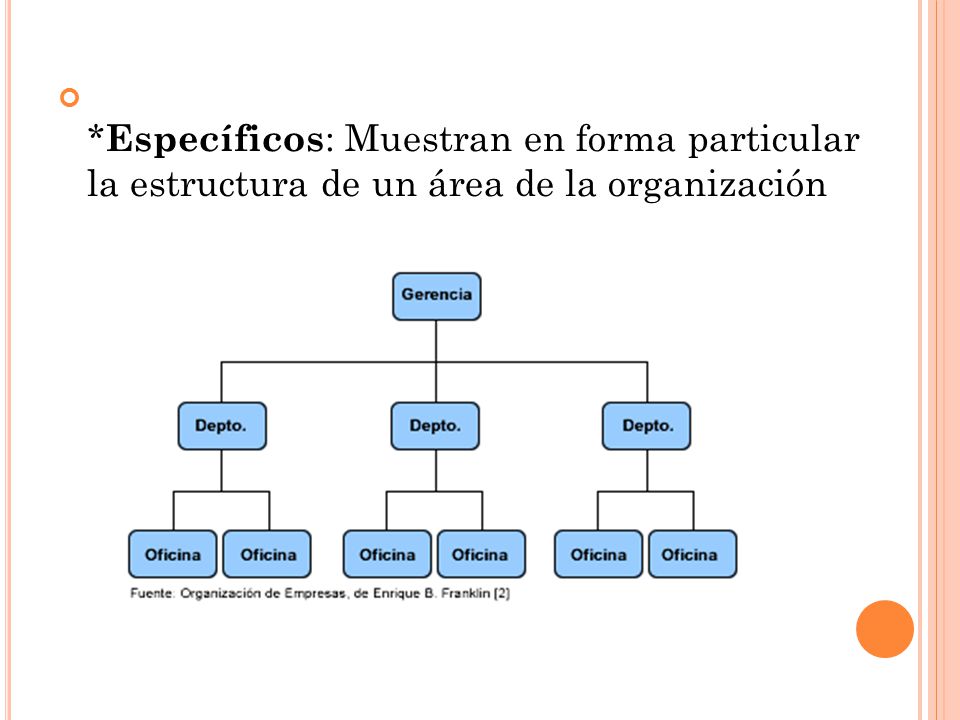 *Específicos: Muestran en forma particular la estructura de un área de la organización