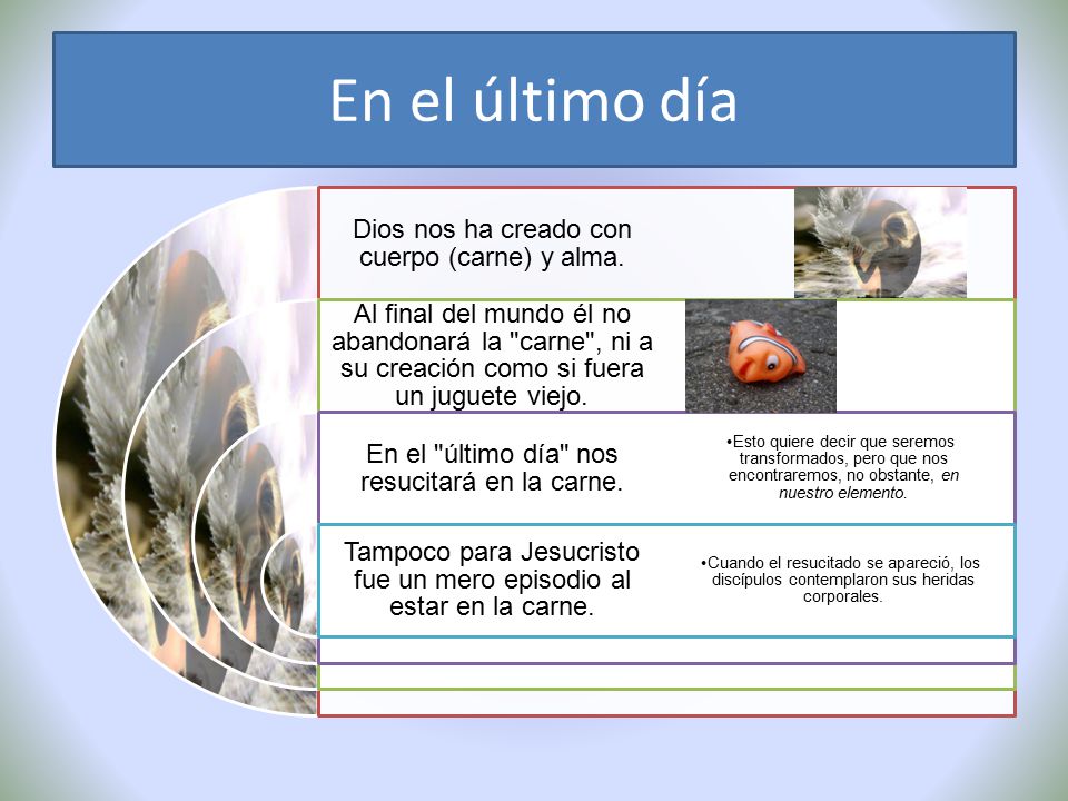 En el último día Dios nos ha creado con cuerpo (carne) y alma.