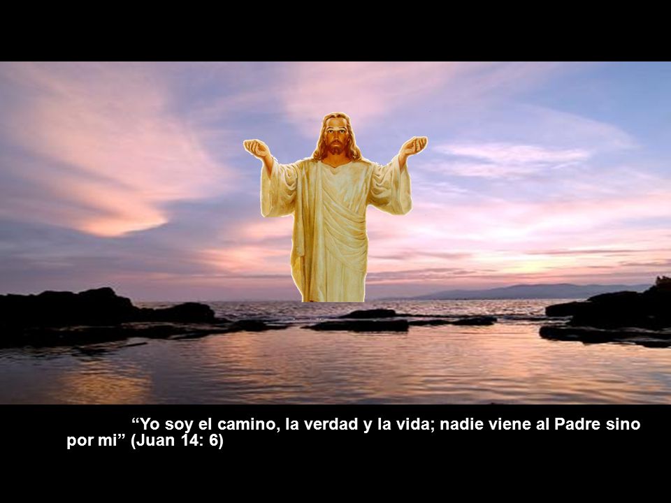 Yo soy el camino, la verdad y la vida; nadie viene al Padre sino por mi (Juan 14: 6)