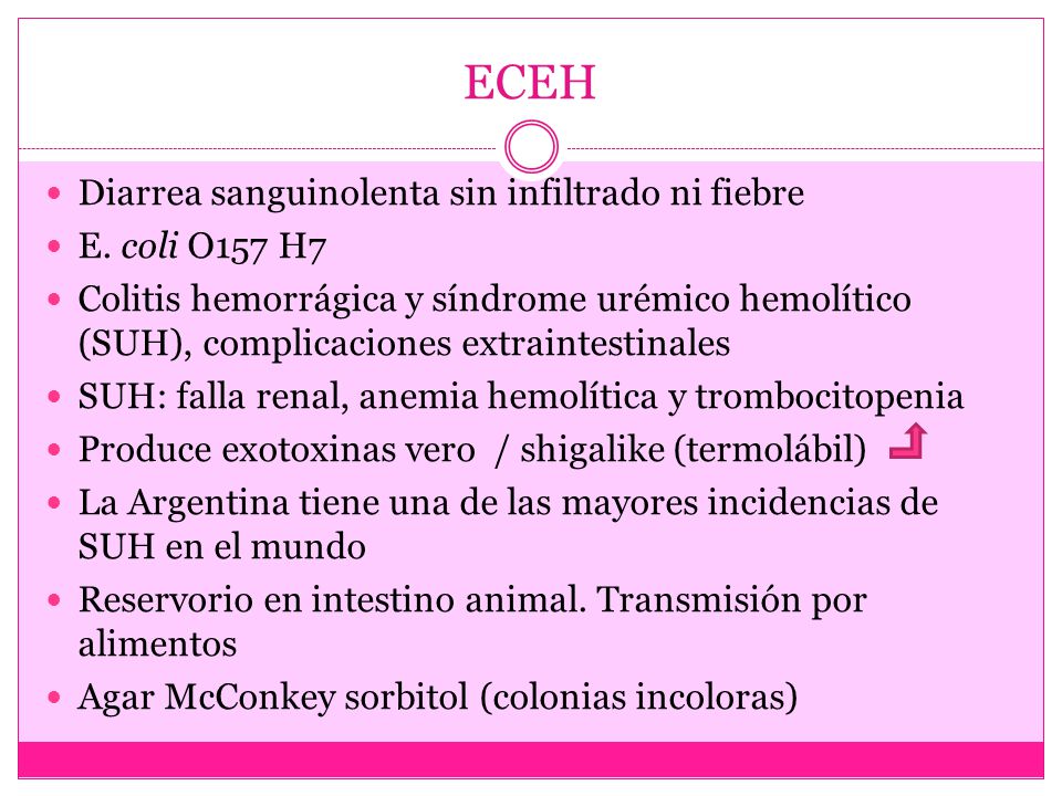 ECEH Diarrea sanguinolenta sin infiltrado ni fiebre E. coli O157 H7