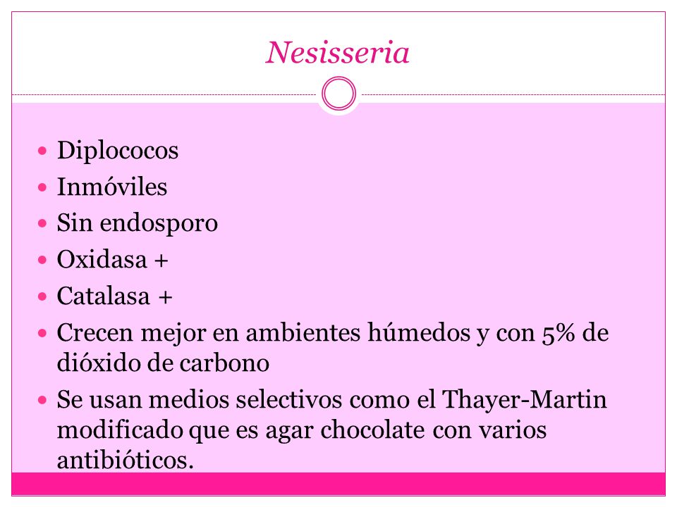 Nesisseria Diplococos Inmóviles Sin endosporo Oxidasa + Catalasa +