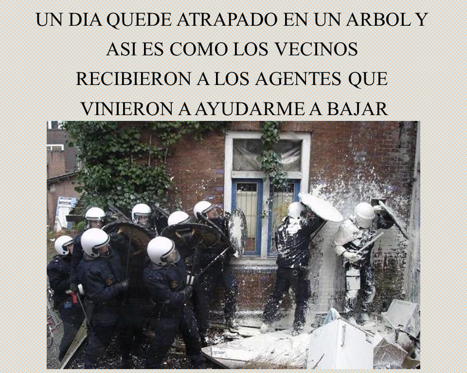 UN DIA QUEDE ATRAPADO EN UN ARBOL Y ASI ES COMO LOS VECINOS