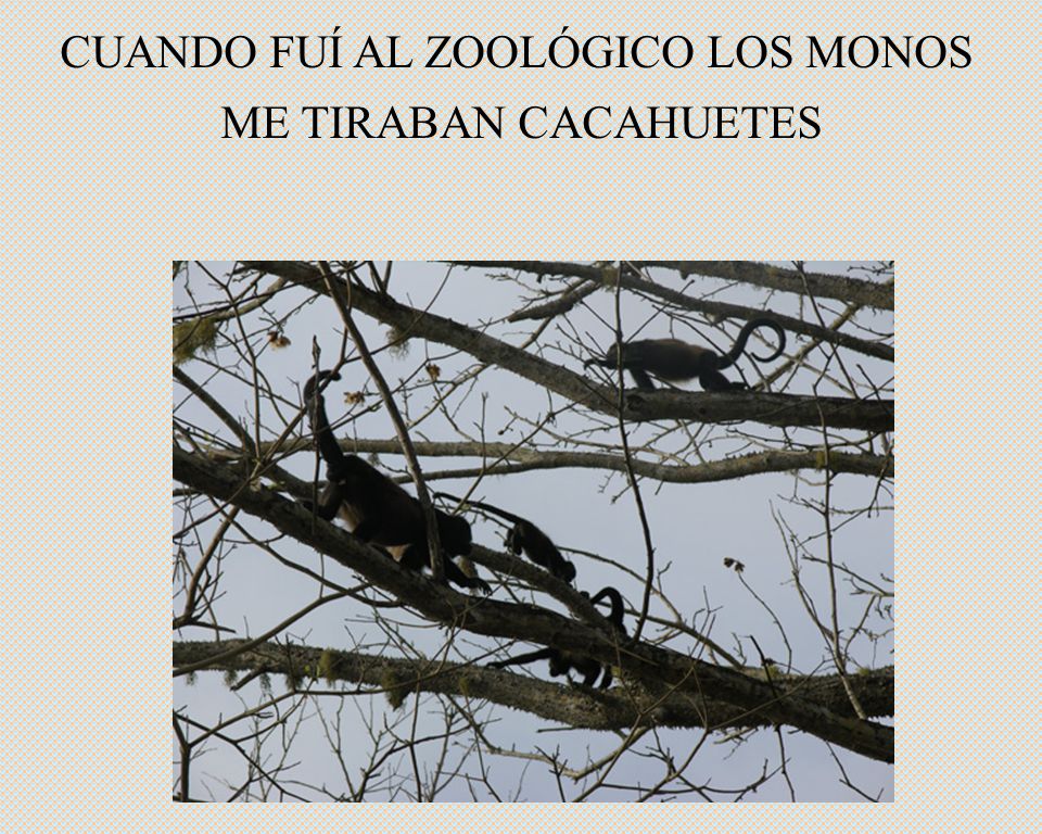 CUANDO FUÍ AL ZOOLÓGICO LOS MONOS