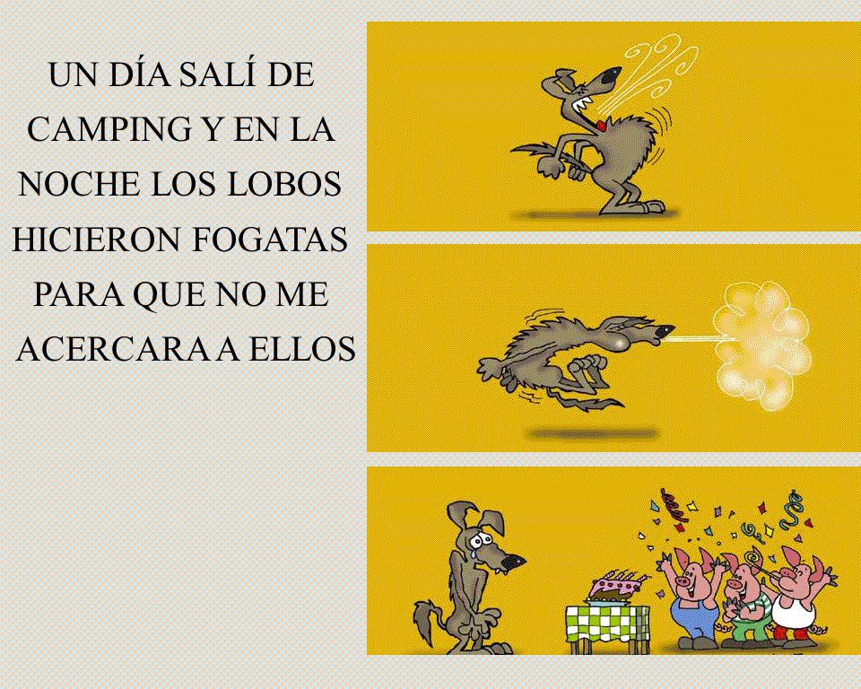 UN DÍA SALÍ DE CAMPING Y EN LA NOCHE LOS LOBOS HICIERON FOGATAS PARA QUE NO ME ACERCARA A ELLOS