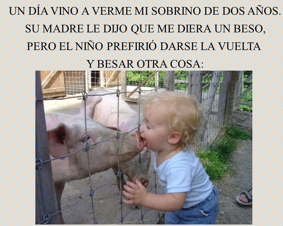 UN DÍA VINO A VERME MI SOBRINO DE DOS AÑOS.