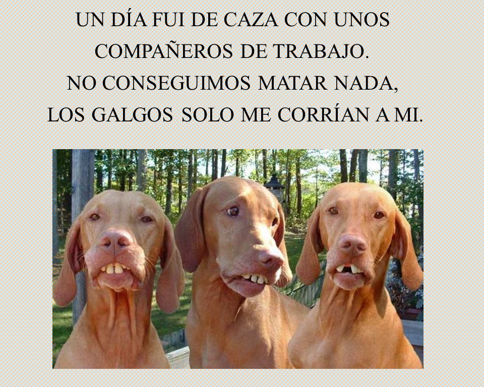 UN DÍA FUI DE CAZA CON UNOS COMPAÑEROS DE TRABAJO.