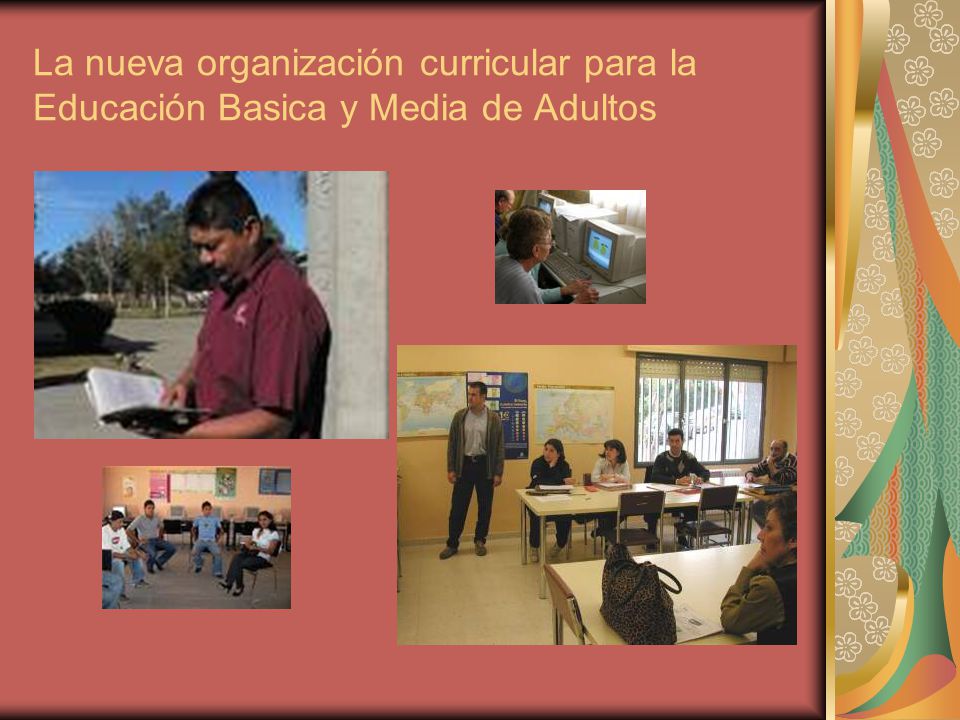La nueva organización curricular para la Educación Basica y Media de Adultos