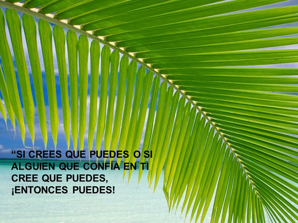 SI CREES QUE PUEDES O SI ALGUIEN QUE CONFÍA EN TI