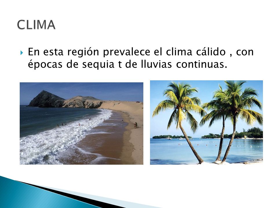 CLIMA En esta región prevalece el clima cálido , con épocas de sequia t de lluvias continuas.