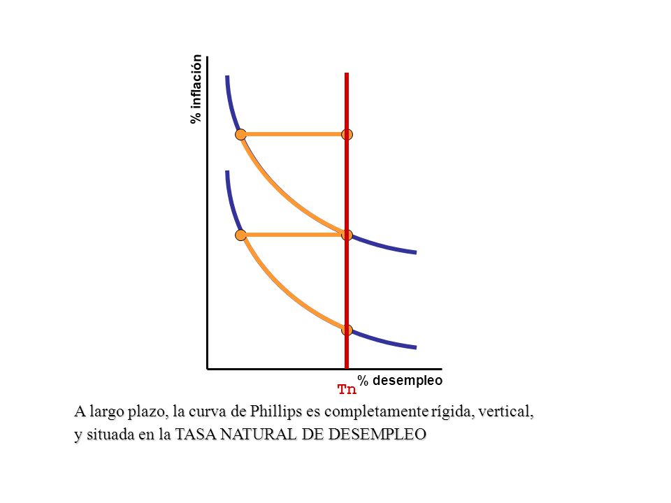 A largo plazo, la curva de Phillips es completamente rígida, vertical,