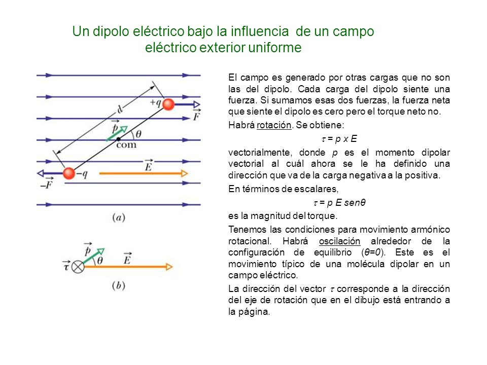 Un dipolo eléctrico bajo la influencia de un campo eléctrico exterior uniforme