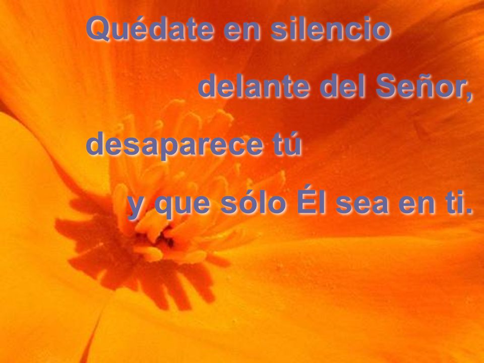 Quédate en silencio delante del Señor, desaparece tú y que sólo Él sea en ti.