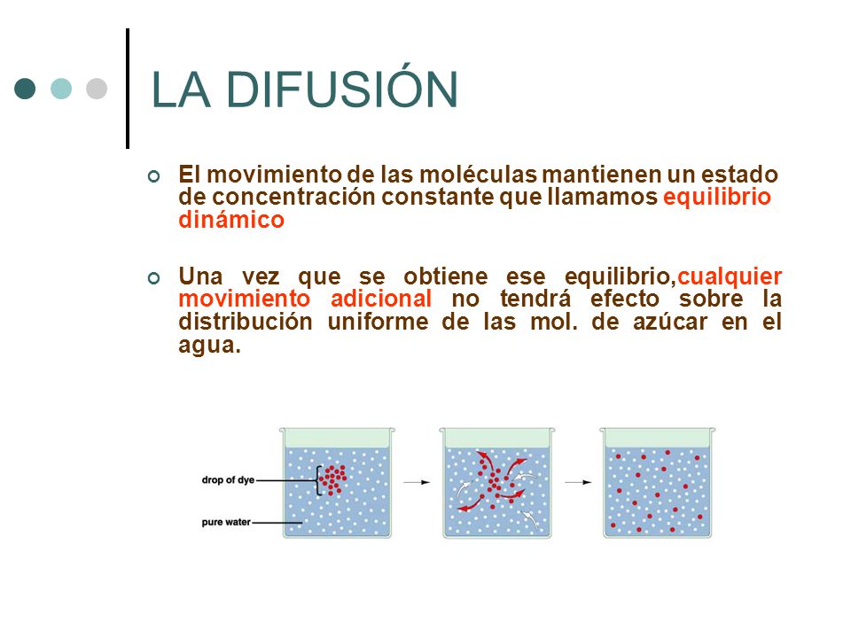 LA DIFUSIÓN El movimiento de las moléculas mantienen un estado de concentración constante que llamamos equilibrio dinámico.