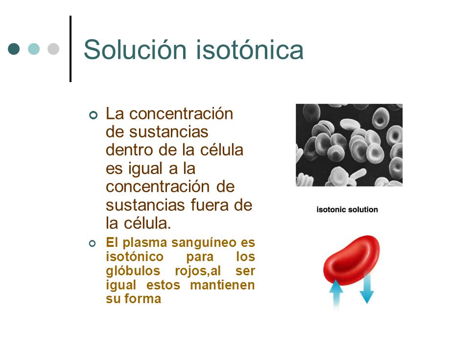 Solución isotónica La concentración de sustancias dentro de la célula es igual a la concentración de sustancias fuera de la célula.