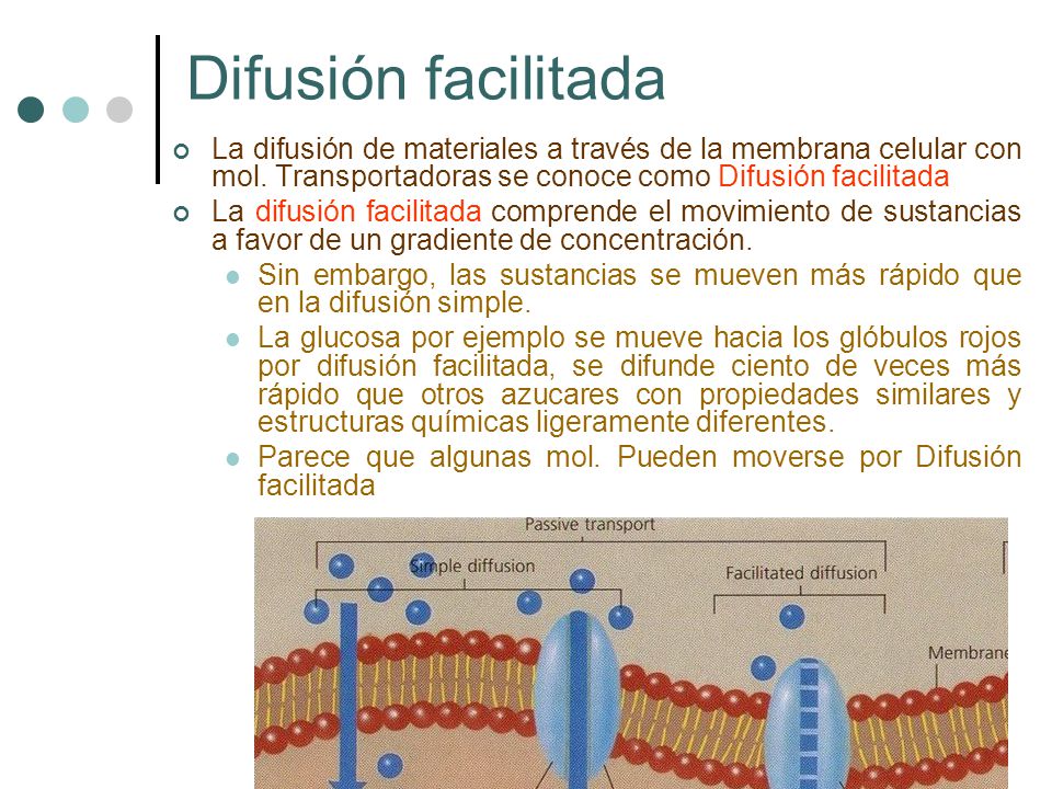 Difusión facilitada La difusión de materiales a través de la membrana celular con mol. Transportadoras se conoce como Difusión facilitada.