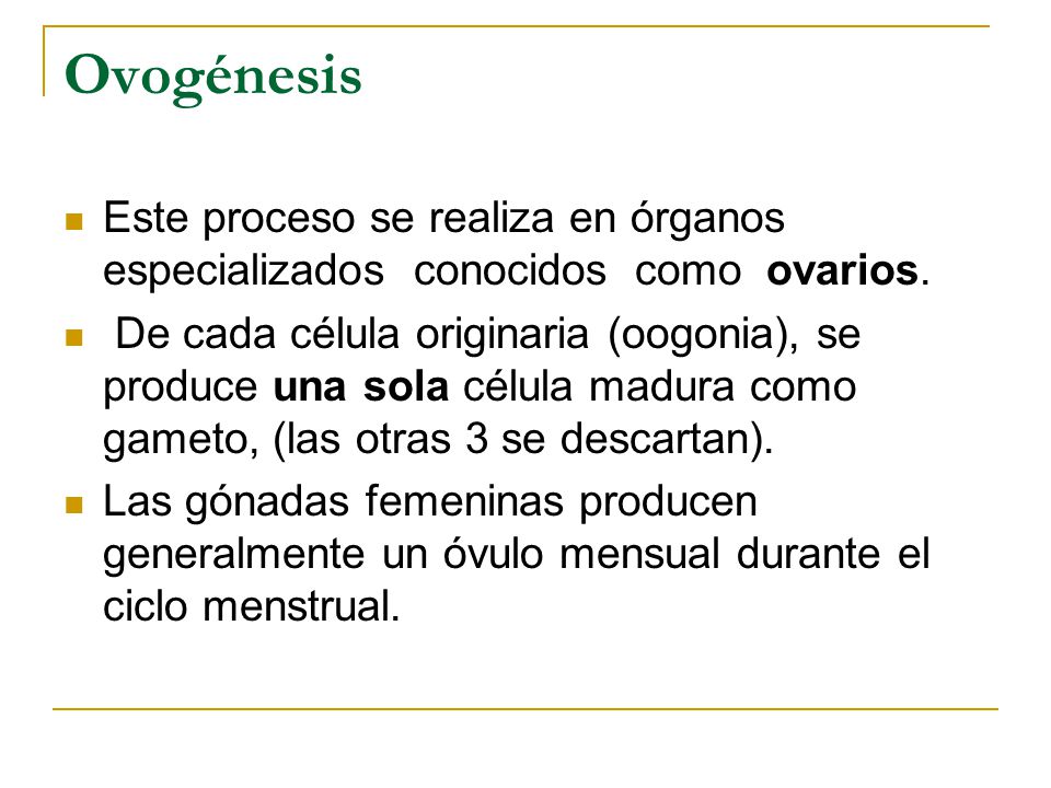 Ovogénesis Este proceso se realiza en órganos especializados conocidos como ovarios.