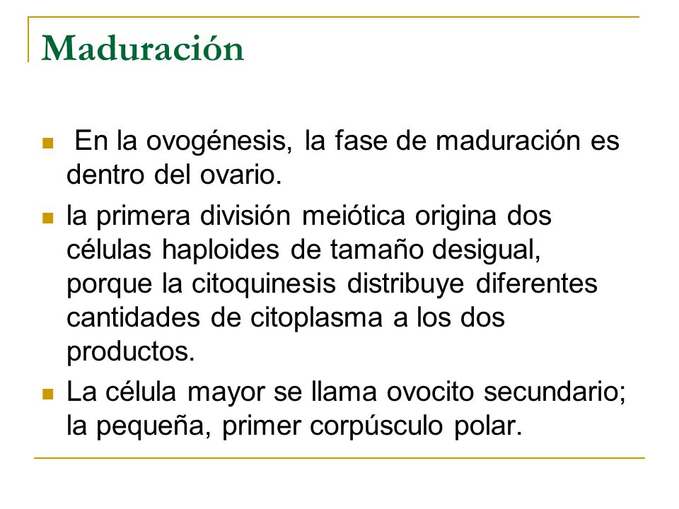 Maduración En la ovogénesis, la fase de maduración es dentro del ovario.